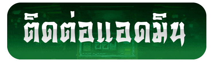 ติดต่อเรา pipo789